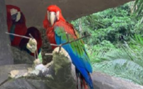 �����ľȻ��Ķ���ϰ����