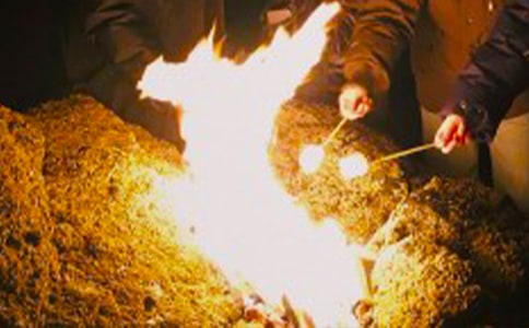 篝火晚会游戏