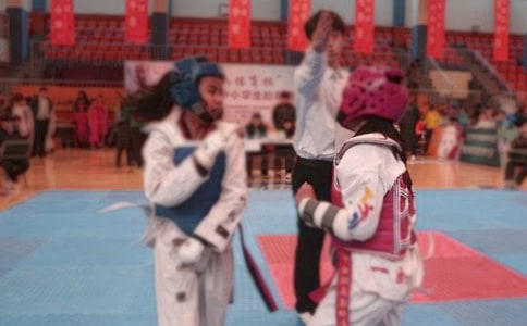 跆拳道学习心得