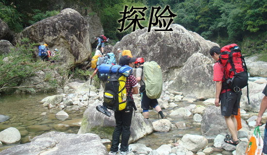 法老的探险家读后感