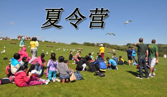 �μ�����Ӫ���ĵ����15ƪ